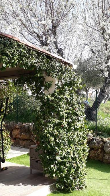 Maison 2 Ou 4 Personnes Jardin Parking Les Amandiers Lorgues Exterior photo